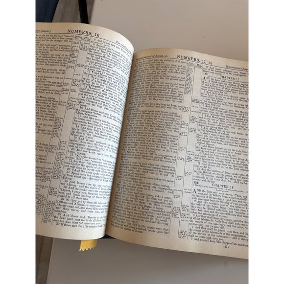 Masonic Bible King James Version Illustrations & Historical Masonic Features - Picture 11 of 16